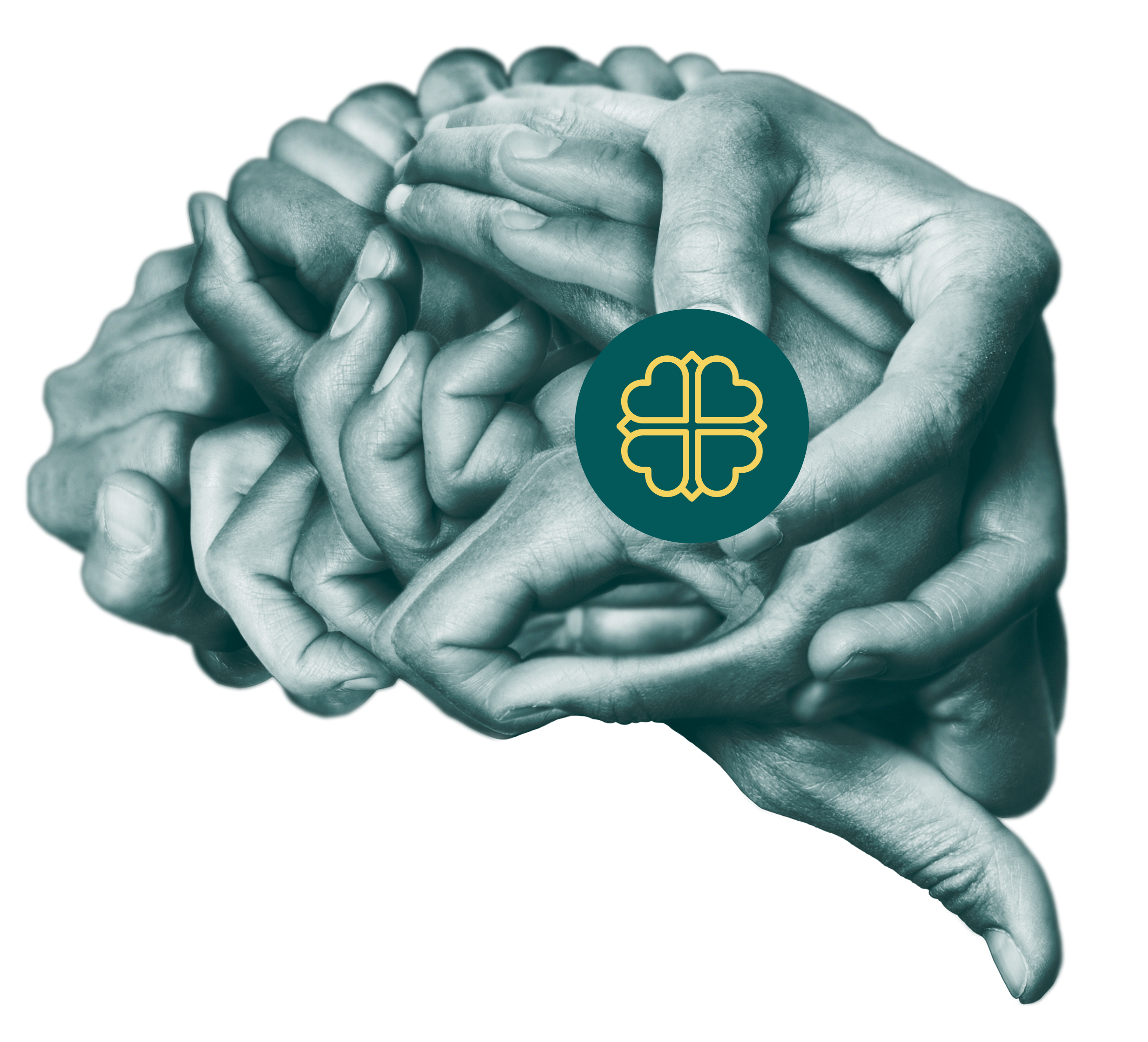 Brain made by hands